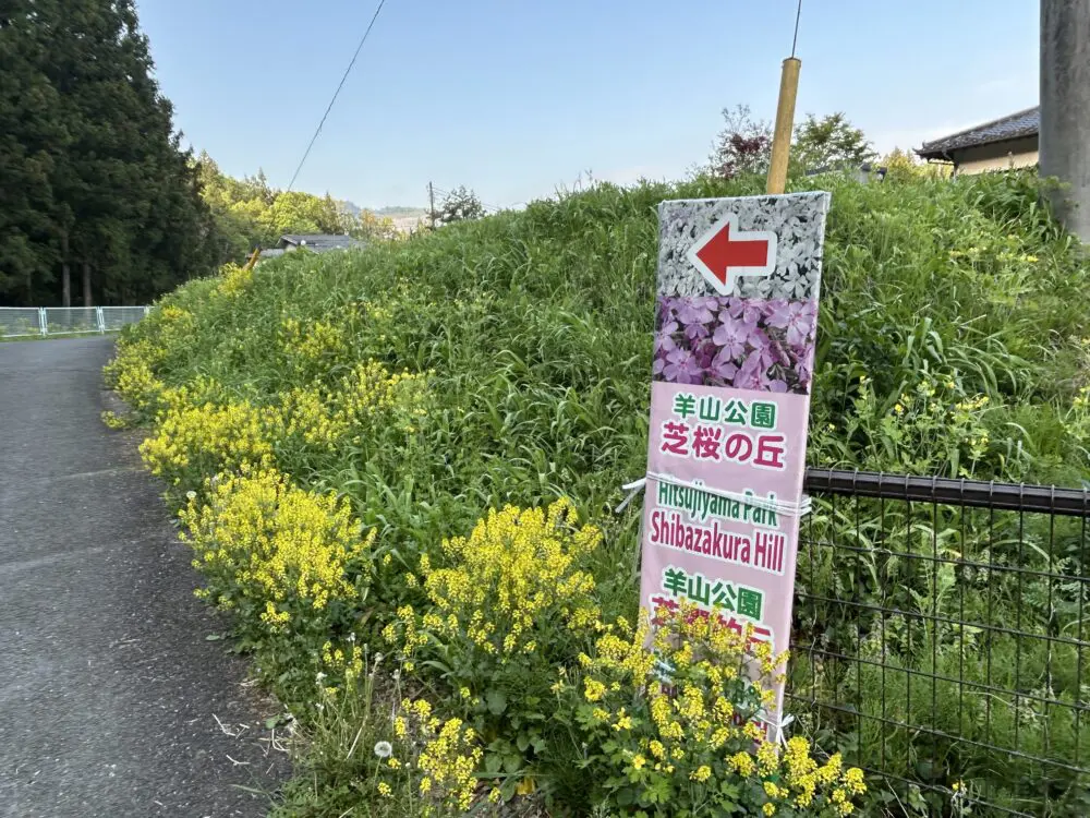 すぐ読める】羊山公園の芝桜/見頃、入場料、駐車場代は？ | 山と生活の